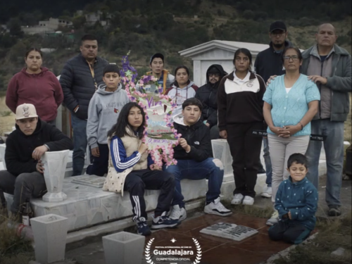 Querida Fátima | Colectivo Varinia